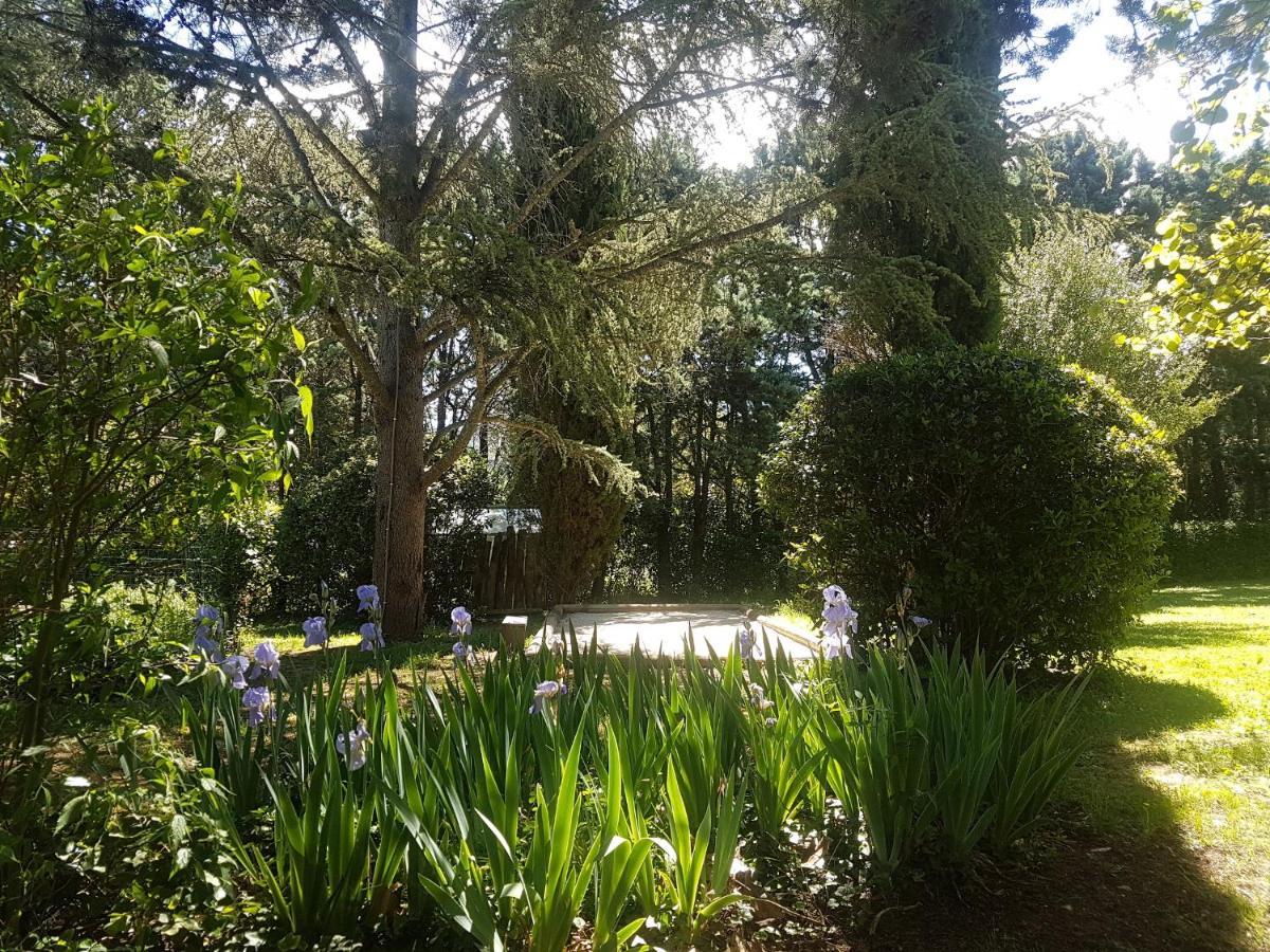 Bastide En Provence Apartment Auriol Luaran gambar