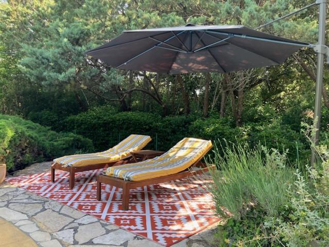 Bastide En Provence Apartment Auriol Luaran gambar